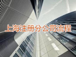 上海注册分公司流程是怎样的？