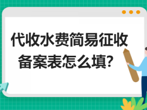 解析代收水费简易征收备案表怎么填？