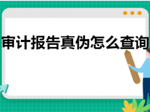 叙说审计报告真伪怎么查询