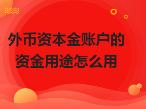 讲解外币资本金账户的资金用途怎么用