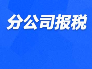 杨浦注册分公司要办理税务登记吗？如何记账报税？