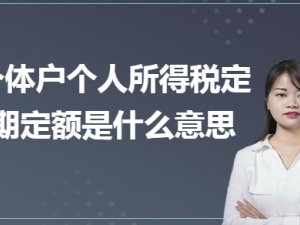 热议个体户个人所得税定期定额是什么意思