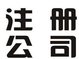 临港公司注册防重名,如何网上核名