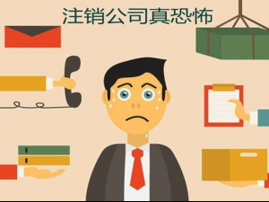 临港新片区公司注销资料及流程