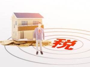 临港新片区代理注册公司有哪些优点？