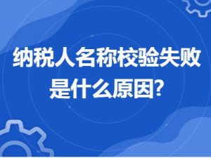 介绍纳税人名称校验失败是什么原因