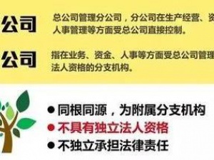 注册子公司好还是分公司好，子公司和分公司有什么区别？