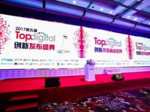 代理杨浦记账斩获2024第五届 TopDigital 互联网服务创新奖