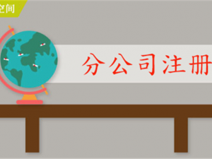 为什么要注册分公司?