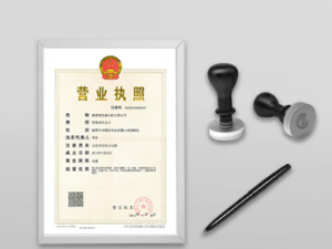 松山湖办理公司注册有哪些的规定？