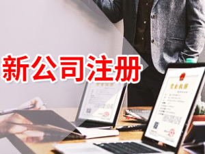 嘉定公司注册流程怎么走