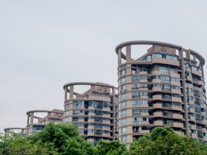 表述若是以知识产权出资注册公司应注意哪些问