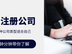 祥解在浦东注册哪种类型的公司好？